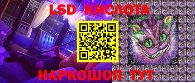 гидра Будённовск