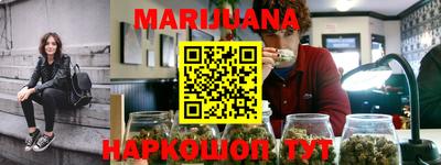 гидра Будённовск