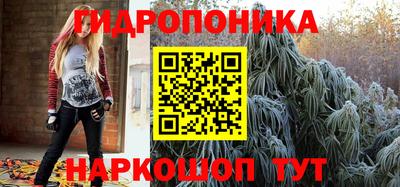 гидра Будённовск