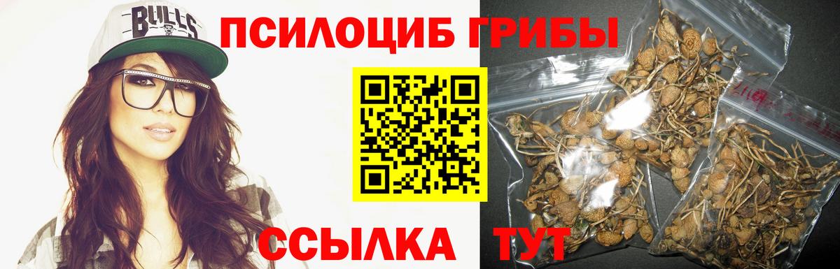 Рыбинск  Галлюциногенные грибы MAGIC MUSHROOMS  Вход с VPN 